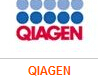 QIAGEN OneStep RT-PCR Kit (25)210210