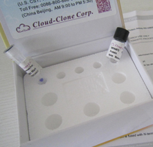AxyPrep-96 PCR 清洁试剂盒