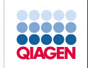 qiagen试剂盒