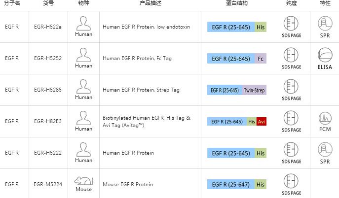 蛋白L,FITC-Labeled Recombinant Protein L