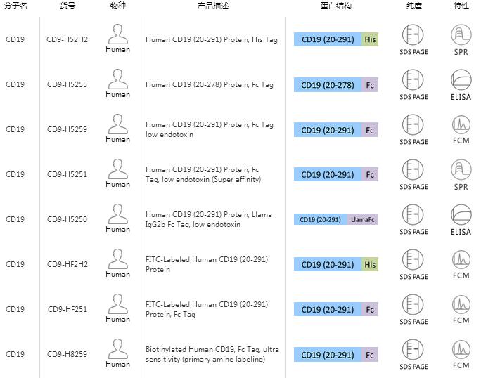 Human CD19 (20-291) Protein, His Tag